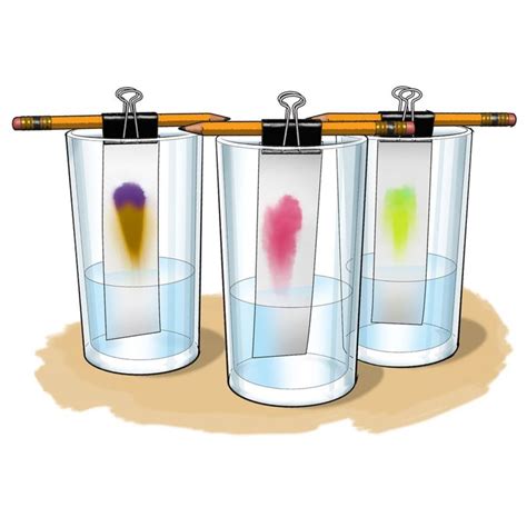 Chromatography Be A Color Detective Light Science Experiments Light