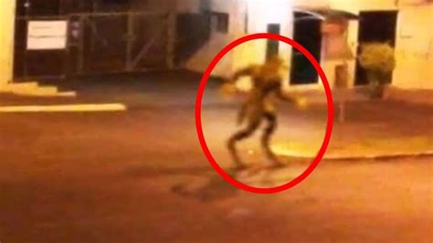 5 Mythical Creatures Caught On Camera And Spotted In Real Life Weird