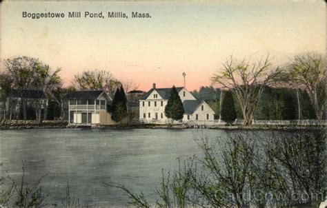 Boggestowe Mill Pond Millis Ma Postcard