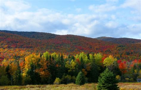 The Best Place For Fall Foliage In New Hampshire