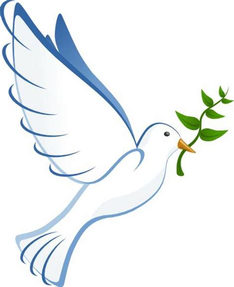 Download High Quality Dove Clipart Bird Transparent Png Images Art