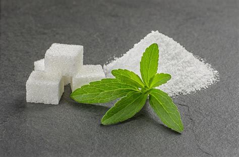 stevia sugar سعر