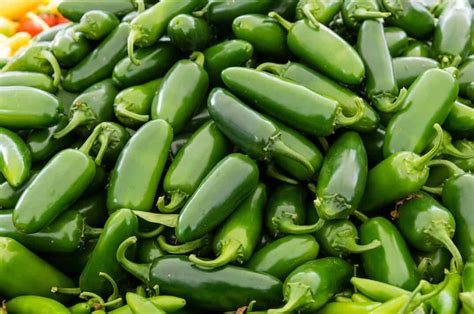 Jalapeno peppers grow best when temperatures range between 65 and 80 f through the growing season. The Jalapeño Planting Guide: A To Zing - PepperScale