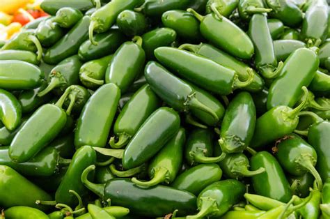 Jalapeno peppers (capsicum annum) rank as among the most common and widely grown of hot pepper varieties. The Jalapeño Planting Guide: A To Zing - PepperScale