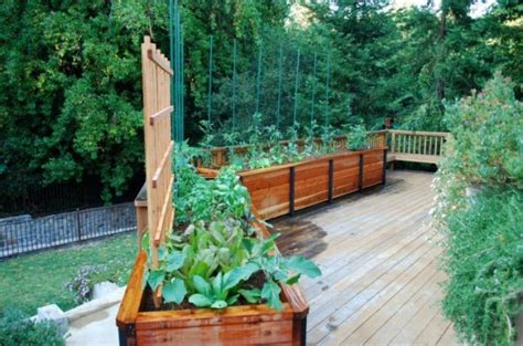 Pallet garden beds on hometalk. Pallet Raised Garden Beds | Pallet Ideas