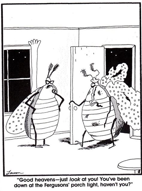 20 Far Side Spider Cartoon By Gary Larson Now Wakeup