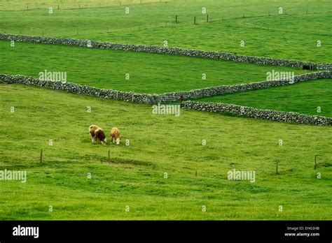 Stone Fence Hi Res Stock Photography And Images Alamy