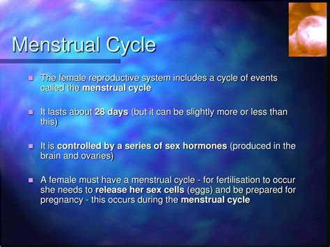 Ppt The Menstrual Cycle Powerpoint Presentation Free Download Id