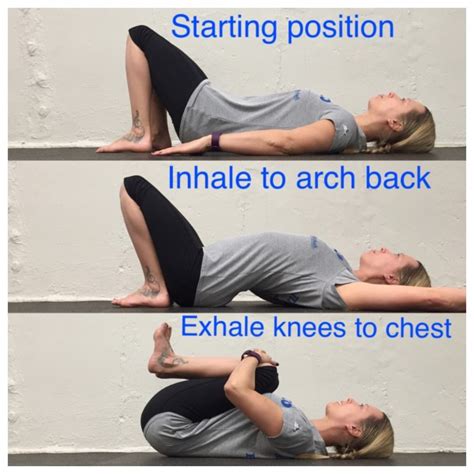 What Is Pelvic Tilt And What Are Pelvic Tilt Exercises Openfit Images And Photos Finder