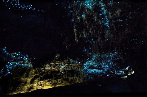 Waitomo Exploring The Best Glowworm Caves In New Zealand The Road
