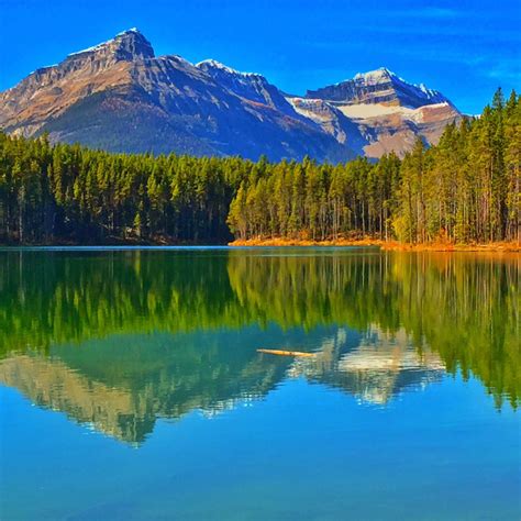 Herbert Lake Banff National Park Alberta Canada License Download
