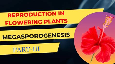 Reproduction In Flowering Plants Ncert Xii Neet