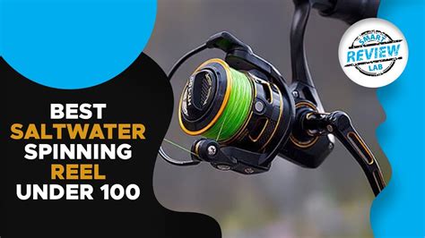 Saltwater Spinning Reel Top 5 Best Saltwater Spinning Reel For 2020