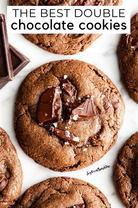 Best Double Chocolate Chip Cookie Recipe The Best Double Chocolate