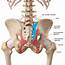 Lower Back Pain & The Sacroiliac Joint