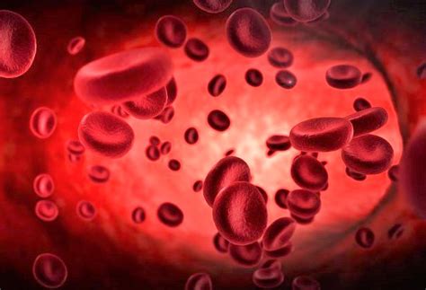 Blood Clots Necessary In Human Bodies Says Haematologist African