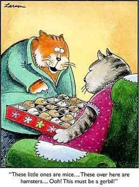 The 13 Best Far Side Comics For Cat Lovers