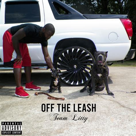 Off The Leash Single By Team Litty Spotify
