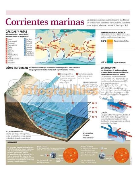 Infografía Las Corrientes Marinas Infographics90