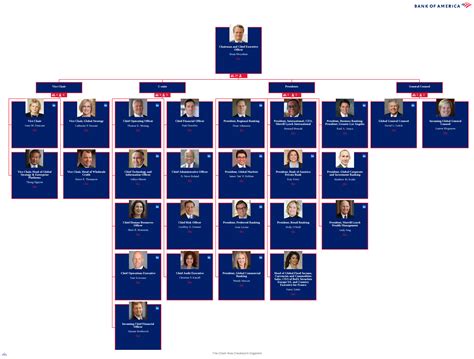 Bank Of America Organizational Structure Interactive Chart Organimi