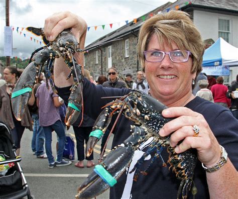 Menai Seafood Festival North Wales Live