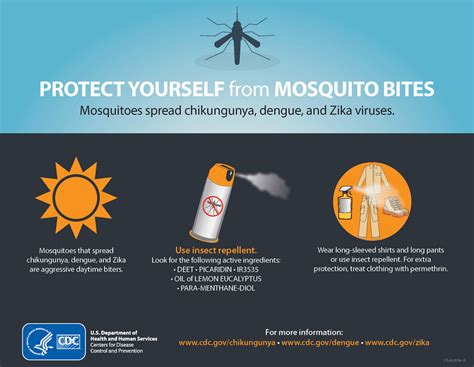 Cdc Global Health Infographics Protect Yourself From Mosquito Bites