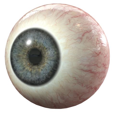 Creepy Eye Png 20 Free Cliparts Download Images On Clipground 2022