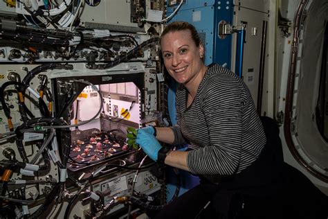 Expedition 64 Flight Engineer Kate Rubins Is Pictured With Flickr