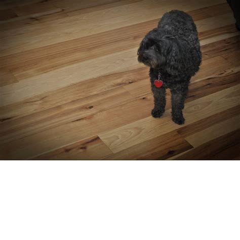 Graf brothers flooring & lumber. Graf Brothers Flooring Prefinished & Engineered Flooring
