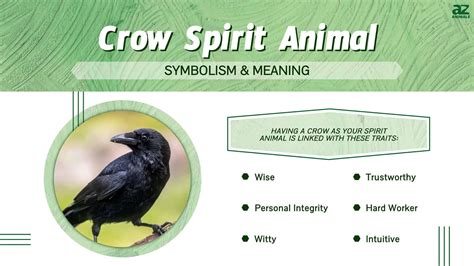 Crow Spirit Animal Symbolism And Meaning A Z Animals