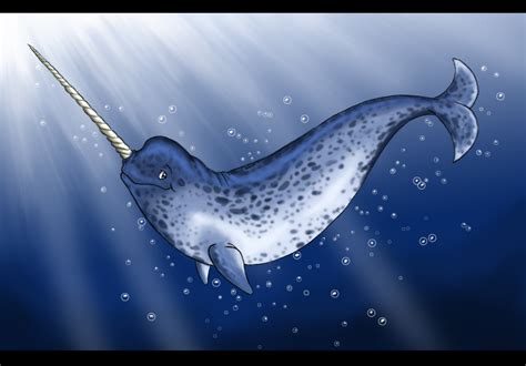 Unicorn Of The Sea By Lizzy23 On Deviantart