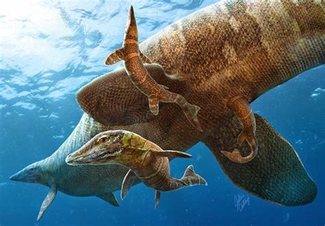 Giant Sea Lizards In The Age Of Dinosaurs Geology In