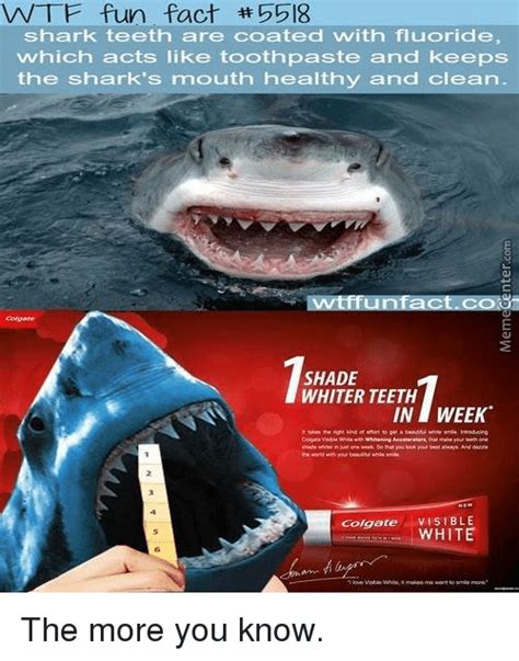 Wtf Fun Fact 5518 Shark Teeth Are Coated With Fluoride Which Acts Like