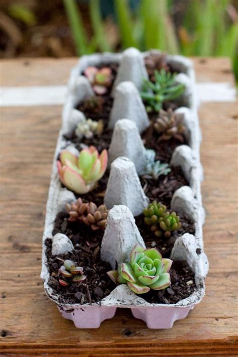 The Most Unusual Yet Creative Ideas For Planting Your Succulents Top