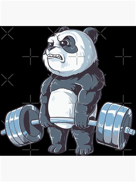Panda Working Out Funny Panda Fitness Panda Gym Installing Muscles Illustrations