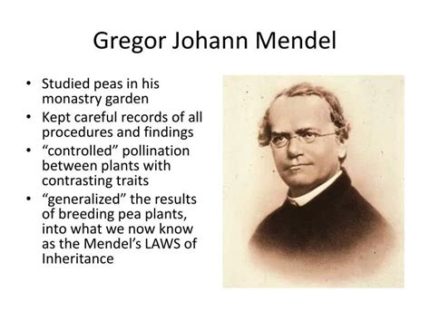 Ppt Gregor Johann Mendel Powerpoint Presentation Free Download Id