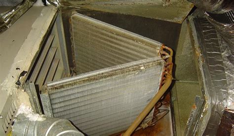 Requires no special ventilation and is biodegradable. How To Clean Evaporator Coils Without Removing ...