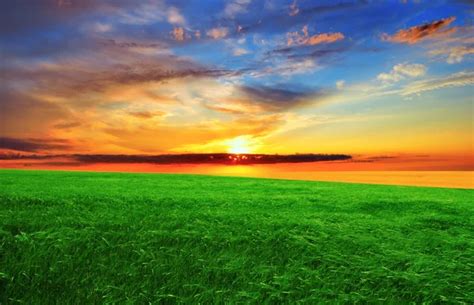 Sunset Over The Green Field Stock Image Everypixel