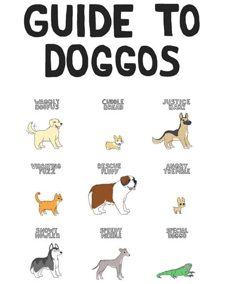 Guide To Doggos Neatorama