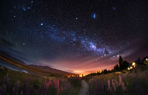 Night Sky Stars Mountains Nature Plants Starred Sky Path