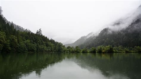 Download Wallpaper 3840x2160 Forest Lake Spruce Reflection Fog 4k