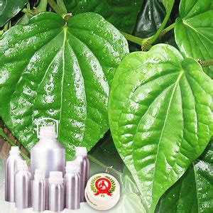 Black pepper oleoresins have heavier flavor and is far more popular than other varieties. Black Pepper Oleoresin - 100% Pure Buy Online Natural ...