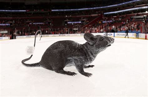 Florida Panthers The Rat Tricks End Of Season Awards