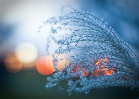 55 Exceptional Examples Of Bokeh Photography Designmag