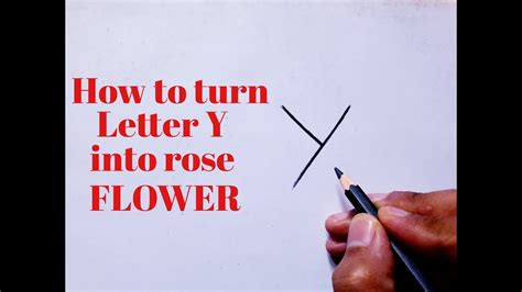 How To Draw A Rose Flower Easy From Letter Y Drawing Rose