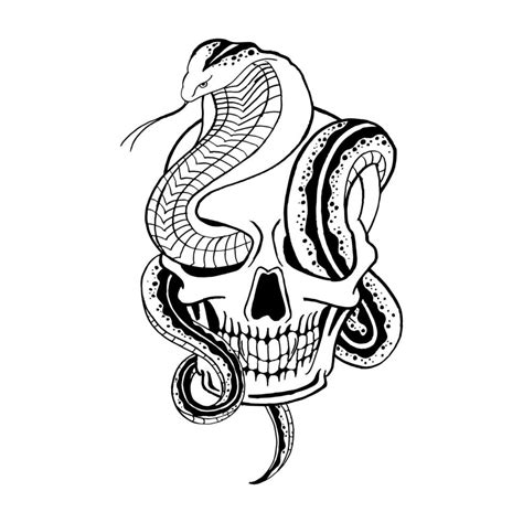 Hand Drawn Skull And Snake Vector Illustration 6299550 Vector Art At