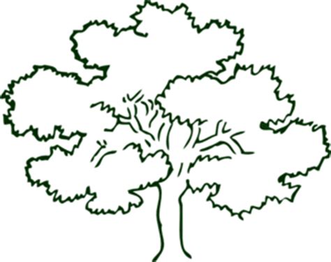 There were 30 randomly selected respondents as the sample size. Business Card Tree Clip Art at Clker.com - vector clip art ...
