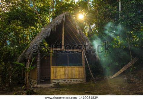 Basic Hut Amazon Rainforest Stock Photo 1410081839 Shutterstock