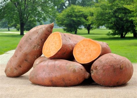 So in this video, i will tell you how to cook sweet potatoes without causing. 8 Wonderful Health Benefits Of Sweet Potatoes For Diabetics
