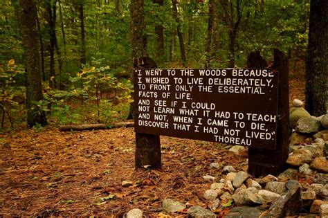Kenneth gell was a great admirer of henry david thoreau, and so when he and his wife geraldine first bought the property in the bristol hills and needed a place to stay when they visited on weekends and. Tiny House Homestead: Did Henry David Thoreau Begin the ...